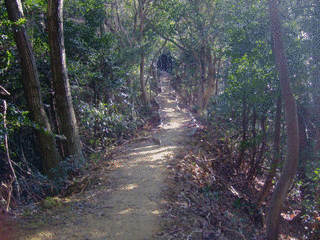 大福山の画像