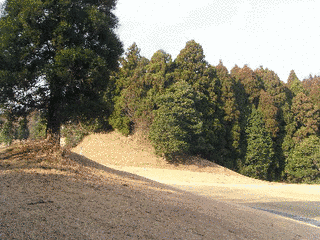 野見金山の画像