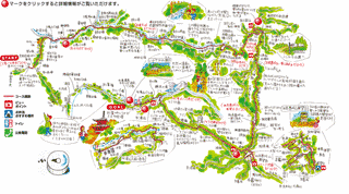 和泉葛城山の画像