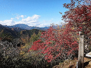 四阿屋山の画像