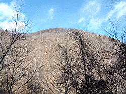 大平山の画像