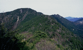 唐松尾山の画像