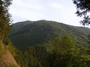熊倉山の画像