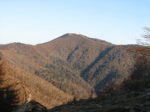 奥多摩の山の画像