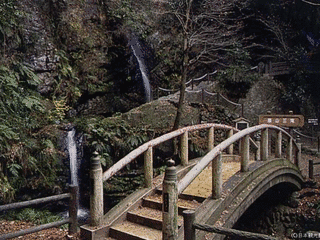 黒山の画像