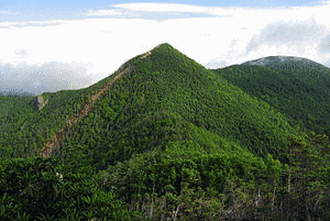 甲武信ヶ岳の画像