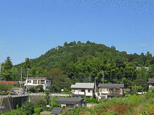 天覧山の画像