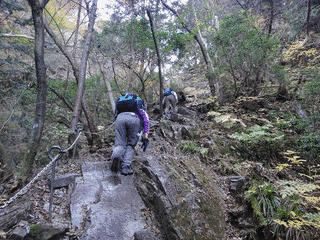 棒ノ折山の画像