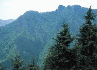 妙法が岳の画像