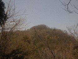 犬ヶ岳の画像