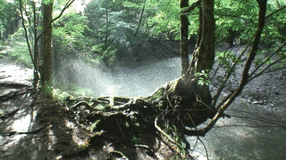 黒岳の画像