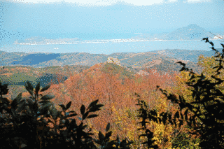 千燈岳の画像