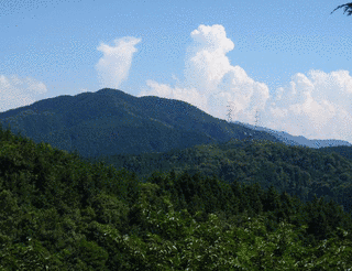 岩橋山の画像