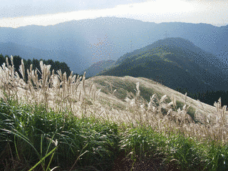 岩湧山の画像