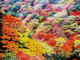 最勝ヶ峰の画像