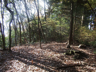 府庁山の画像