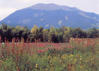 大和葛城山の画像
