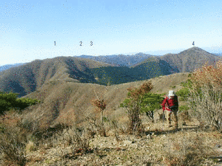 伯母子岳の画像
