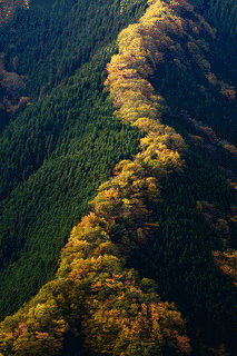 行者還岳の画像