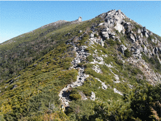 金峰山の画像