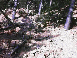 雨塚山の画像