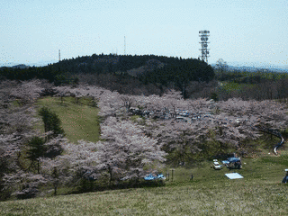 加護坊山の画像