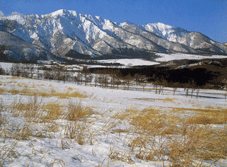 禿岳の画像