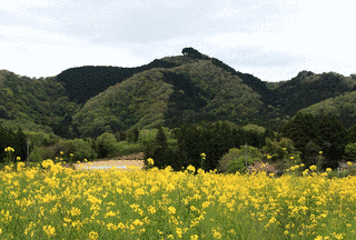 鹿狼山の画像
