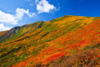 栗駒山の画像