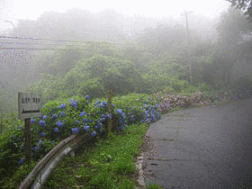 四方山の画像
