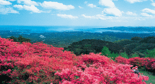田束山の画像