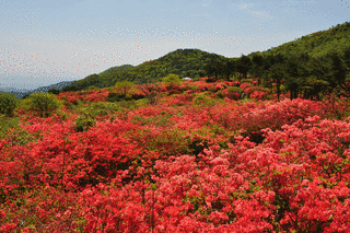 徳仙丈山の画像