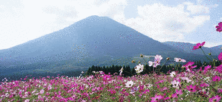 夷守岳の画像