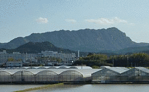 双石山の画像