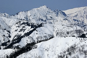 笈ヶ岳の画像