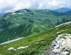 北ノ俣岳の画像