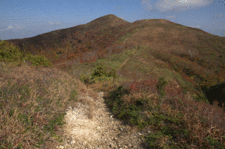 金剛堂山の画像