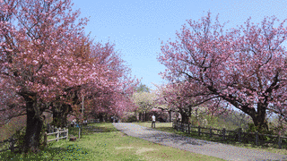 城山の画像