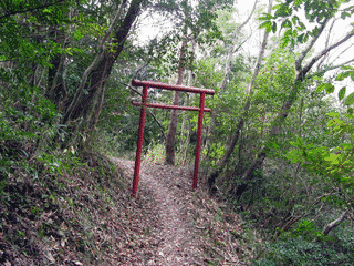 荒滝山の画像