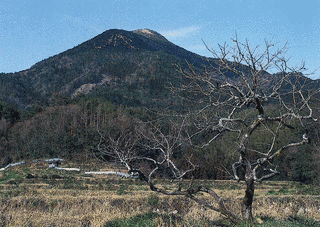 一位ヶ岳の画像