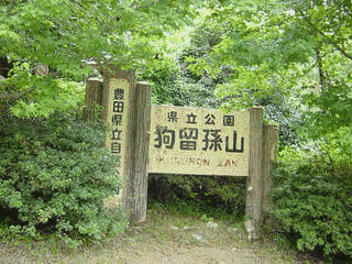 狗留孫山の画像