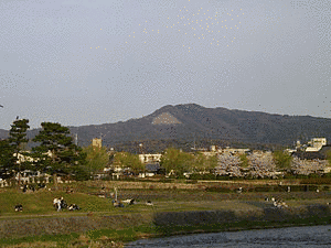 如意ヶ岳の画像