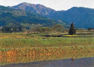 頭殿山の画像