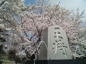 舞鶴山の画像