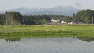杢蔵山の画像