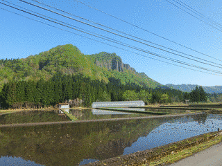 竜馬山の画像