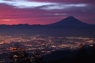 甘利山の画像