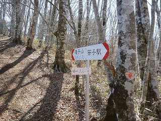 大谷ガ丸の画像