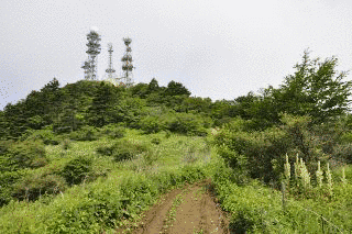 御巣鷹山の画像