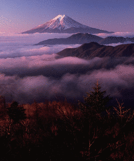雁ヶ腹摺山の画像